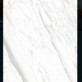 SIG-P 4801 40*40,80*80,80, 60*1.2