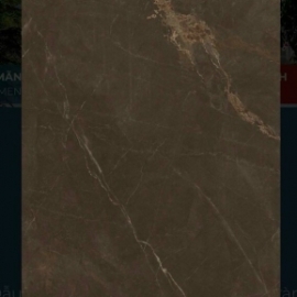 EUROTILE 60*1.2 TRA Q04