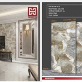 VI TINH 60*1.2-30052