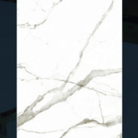 EUROTILE 60*1.2-SIG P61206