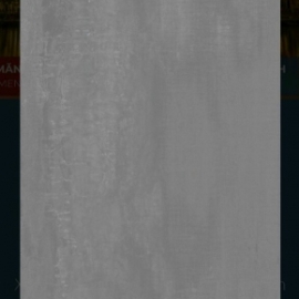 EUROTILE 60*1.2 HOA Q02