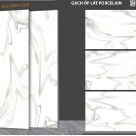 BÓNG 60x120 PE30053