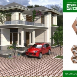 GẠCH LÁT SÂN VƯỜN LỤC GIÁC 6*25*500-BD4555
