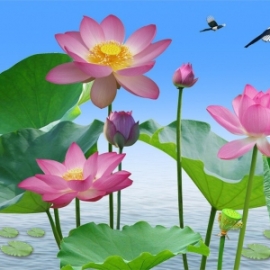 Gạch trang 5D Bông Sen