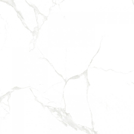 HM BÓNG 80*80-33000F1