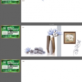 ỐP TƯỜNG 30*60 BD 0042.043.042V