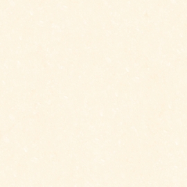 PORCELAIN BÓNG 60X60-6615