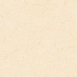 PORCELAIN BÓNG 60X60-6625