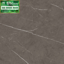 PORCELAIN BÓNG 60X60-8605