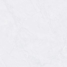 PORCELAIN BÓNG 60X60-PE8328