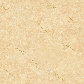 TASA 80*80 NHỦ VÀNG 8352