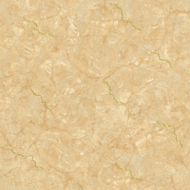 TASA 80*80 NHỦ VÀNG 8353