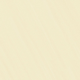 TASA 80*80 MATT 8006