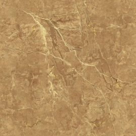 TASA 80*80 NHỦ VÀNG 8356