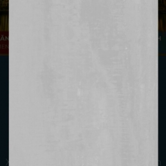 EUROTILE 60*1.2 HOA Q01