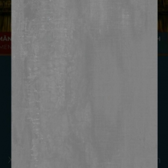 EUROTILE 60*1.2 HOA Q02