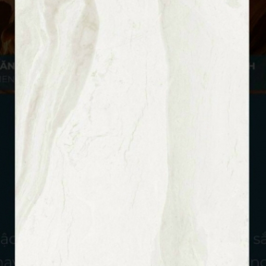 EUROTILE 60*1.2 THV Q01