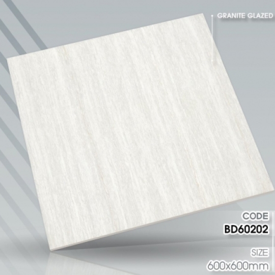 BÓNG 60X60-BD60202