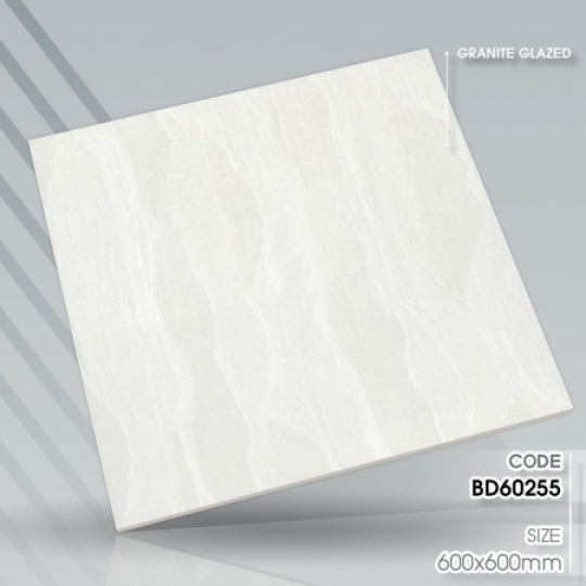 BÓNG 60X60-BD60255