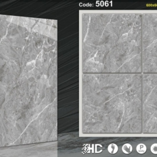 BÓNG 60*60X-5061