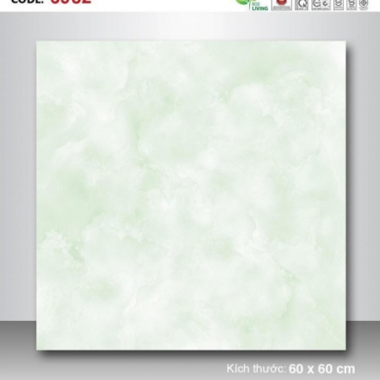 BÓNG 60X60-PE6932