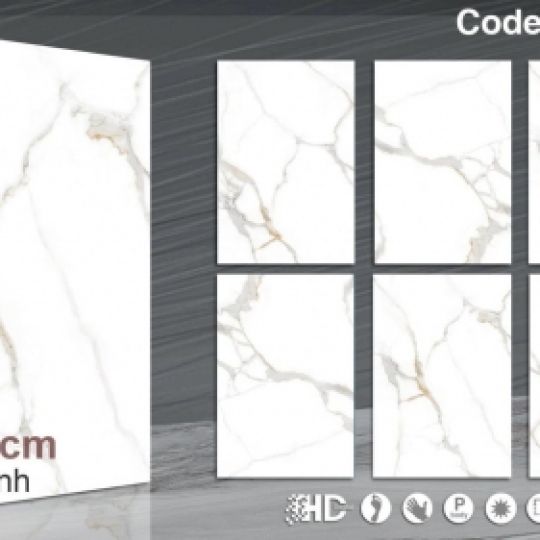 PORCELAIN - 80x120 BÓNG - 8702