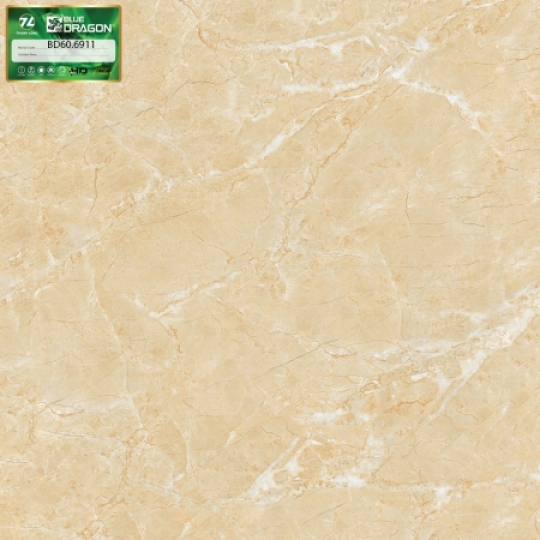 PORCELAIN BÓNG 60X60-BD6911