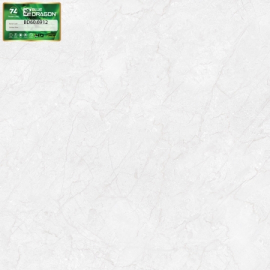 PORCELAIN BÓNG 60X60-BD6912