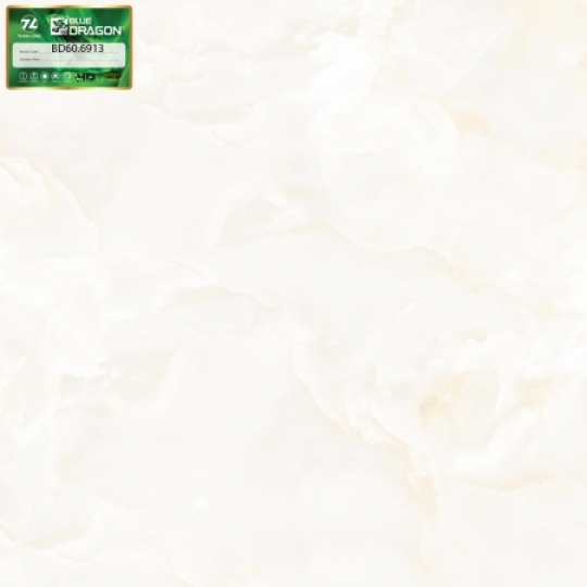 PORCELAIN BÓNG 60X60-BD6913