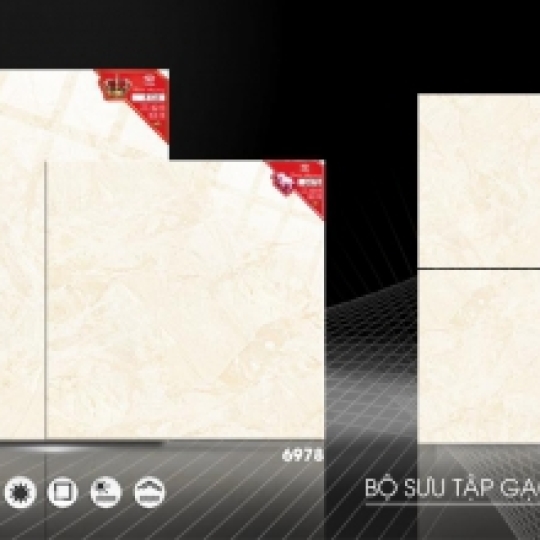 TASA 60*60 BÓNG 8134 6978